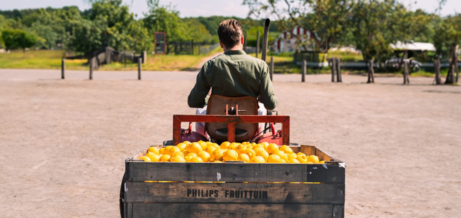 Che Dona Luce brengt citroenen naar de fruittuin